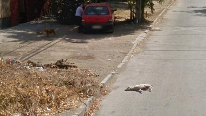 Google Street View arac kpei ezdi