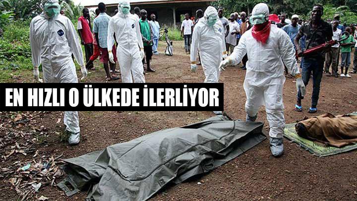 Ebola salgnnda bilano artyor: 350 l