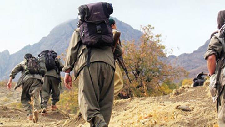 PKK, Siirt'te iki kiiyi kard