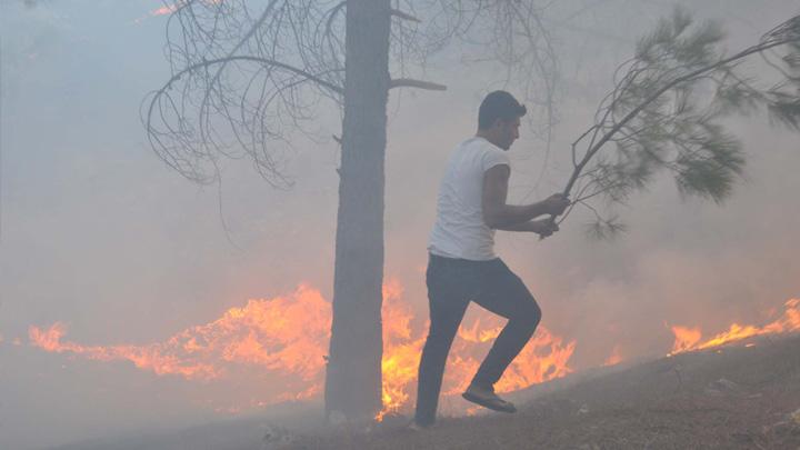 Adyaman'da orman yangn