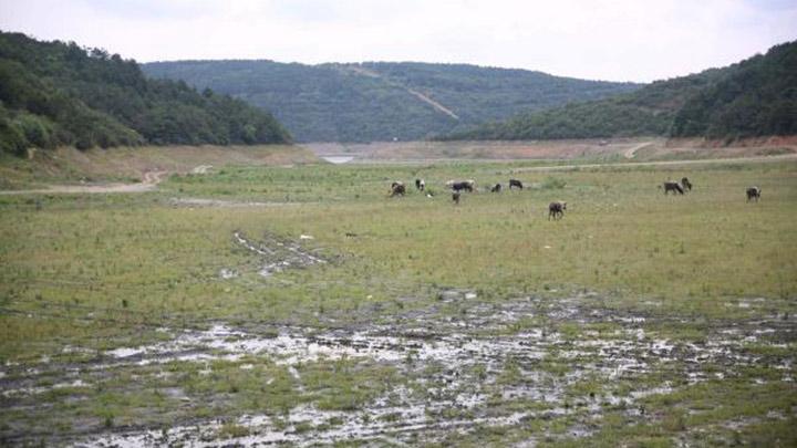 Barajlardaki doluluk oran