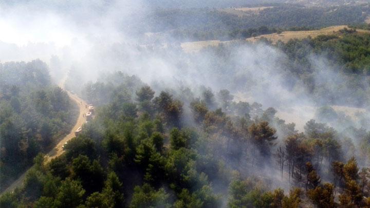 anakkale'deki orman yangn