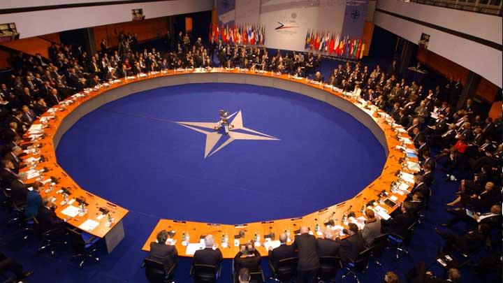 NATO Zirvesi Gallerde