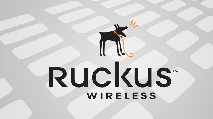 Arena Ruckus Wireless'n distribtr oldu