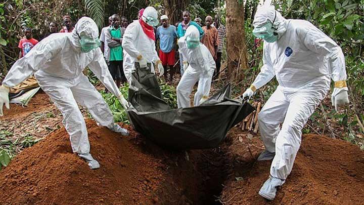 THYden ebola virsne sava