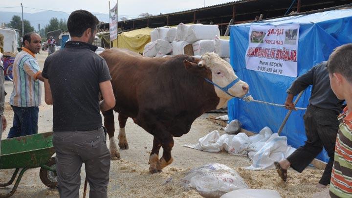 Otomobil fiyatna gitti