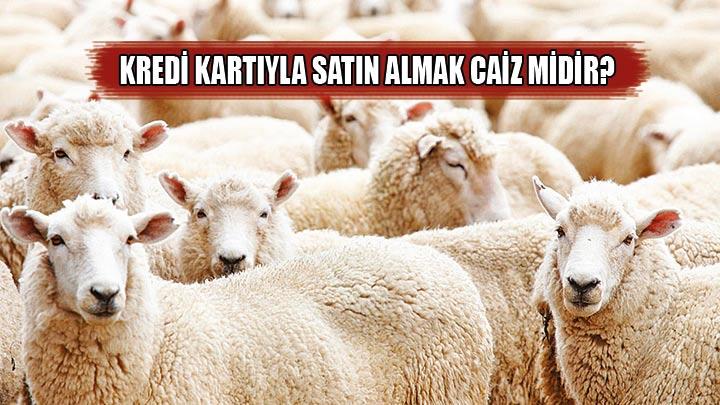 Kredili kurbana faiz uyars 