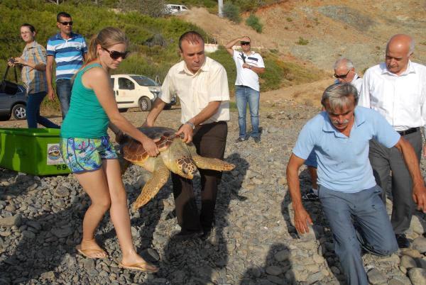 Tedavi edilen caretta, tekrar denizle bulutu