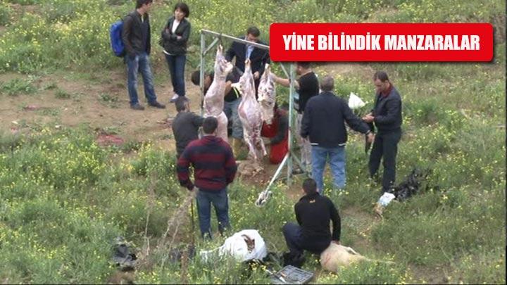 Yine bilindik manzaralar