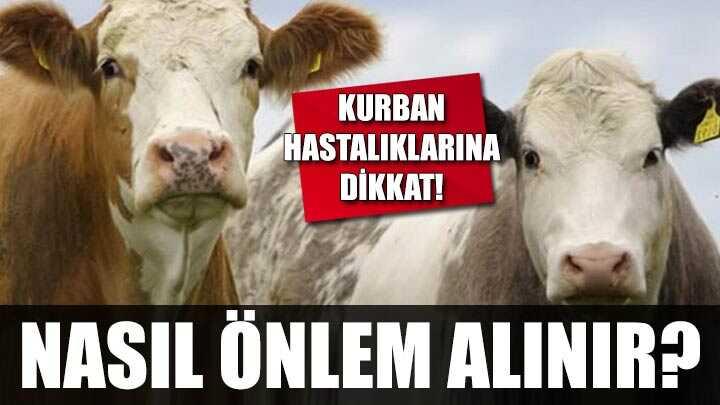 Kurban hastalklarna dikkat!