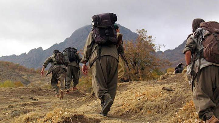 Suriye'de yaralanan PKK'l yakaland