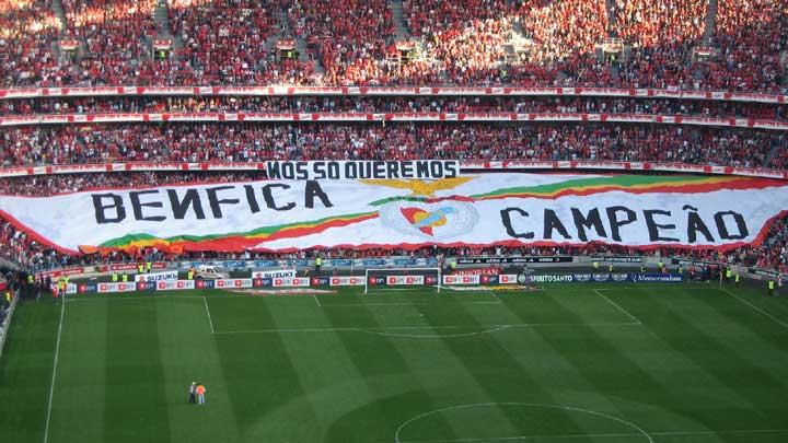 Benfica TV para basyor