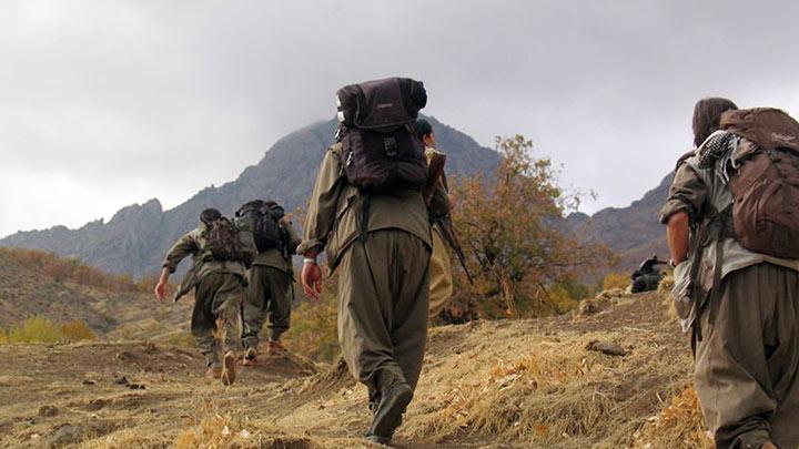 Hakkari'de bir PKK'l yakaland