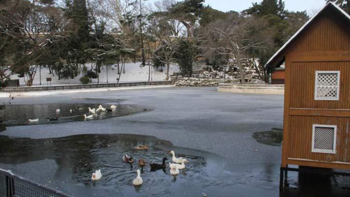 stanbul'da gletler buz tuttu