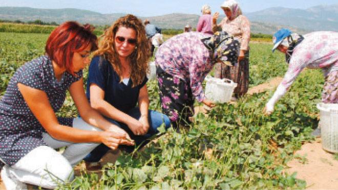 Tarm ve hayvanclktakadn giriimciye destek