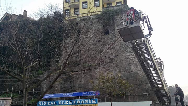 Trabzon tfaiyesi'nin inat kedi ile imtihan 