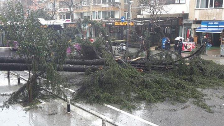 Badat Caddesinde aa yol ortasna devrildi