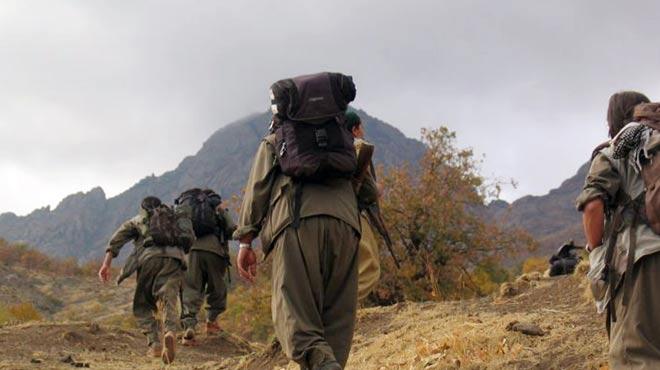 Habur'da 7 PKK'l teslim oldu