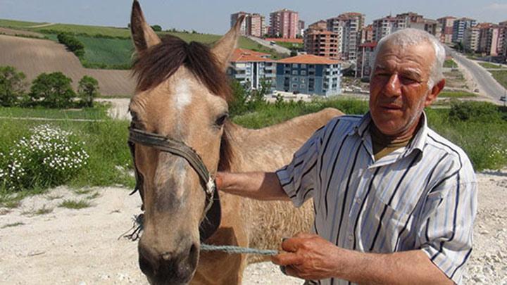 Edirne yeni at obann buldu