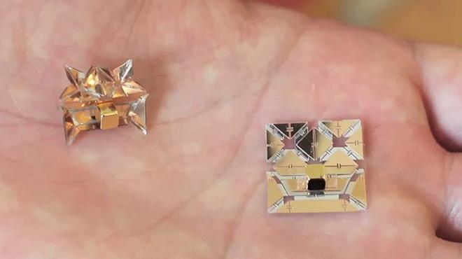 'Origami robot' dnemi balyor