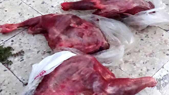 Satmaya alrken yakaland! Kaak avcya 17 bin lira ceza