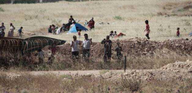 0 fotoraflar resimleri