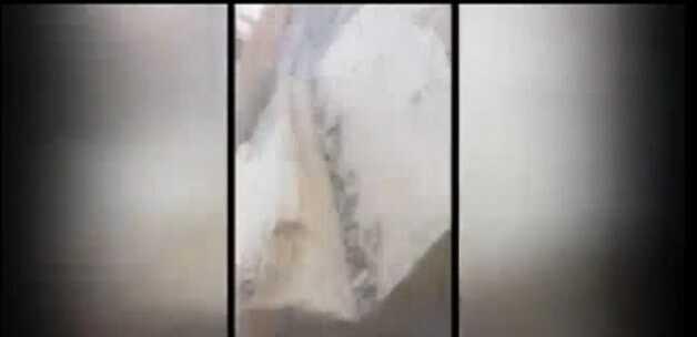 0 fotoraflar resimleri