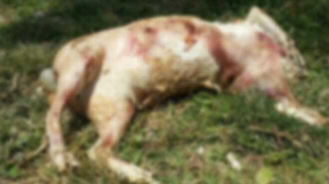 0 fotoraflar resimleri