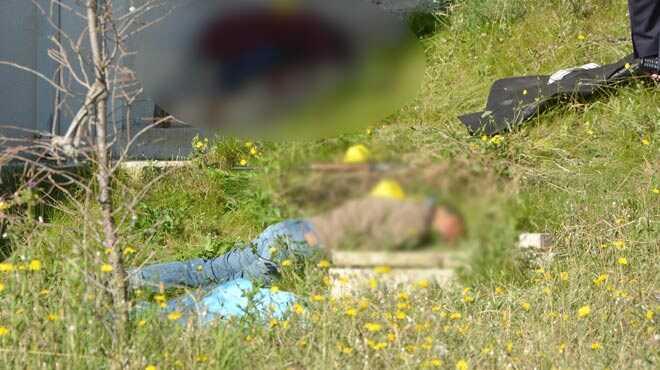 0 fotoraflar resimleri