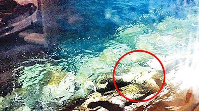 0 fotoraflar resimleri