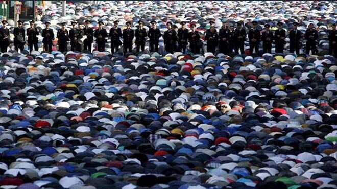 0 fotoraflar resimleri