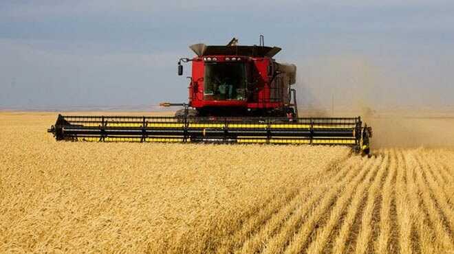 0 fotoraflar resimleri