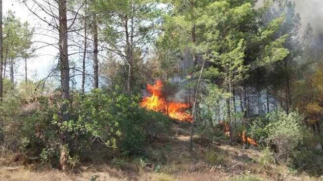 0 fotoraflar resimleri