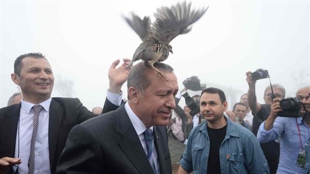 Erdoan'n bana keklik kondu