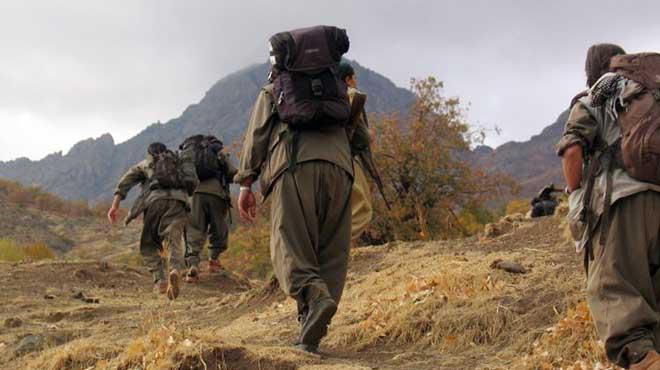 PKK'ya darbe: 35 terrist etkisiz hale getirildi