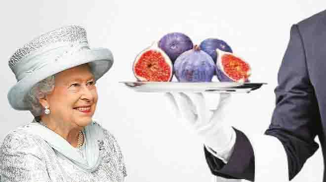 Kraliçe Elizabeth in incirinde sıkıntı büyük!