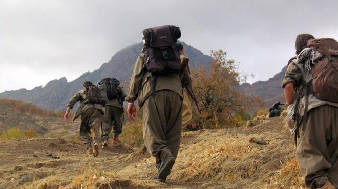 PKK'l terristlere AB himayesi