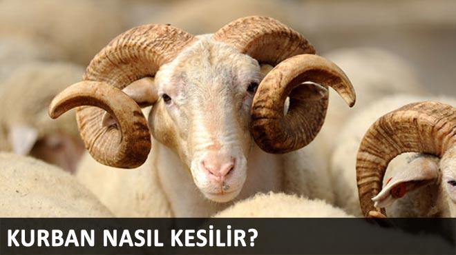 Kurban nasl kesilir" Kurban eti nasl piirilir"