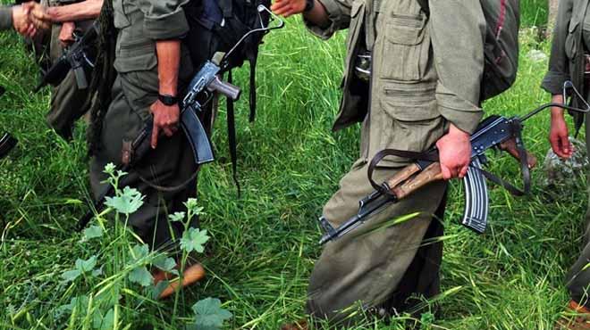 Bir PKK'l silah ve mhimmatyla teslim oldu