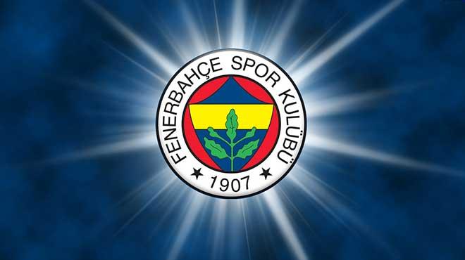 Fenerbahede Markovic sakatland