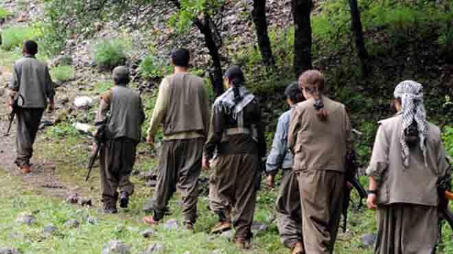 emdinli'de 1 PKK'l teslim oldu