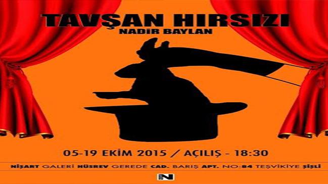 Bir Nadir Baylan Sergisi: TAVAN HIRSIZI