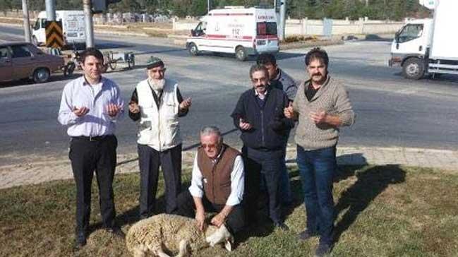 Kazalar nlemek iin kavakta kurban kestiler