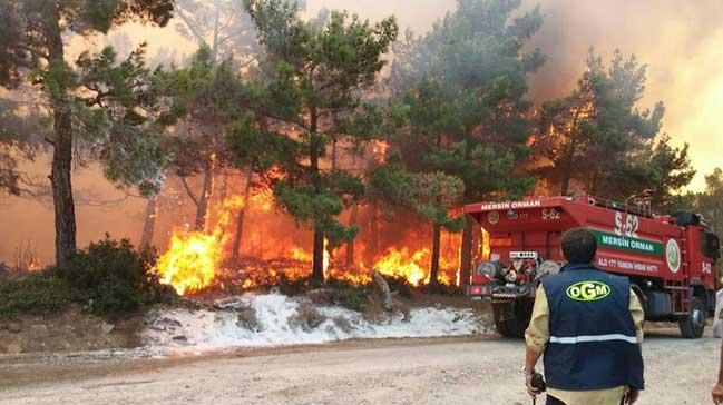 Mersin'de yangn: 15 kii yaraland