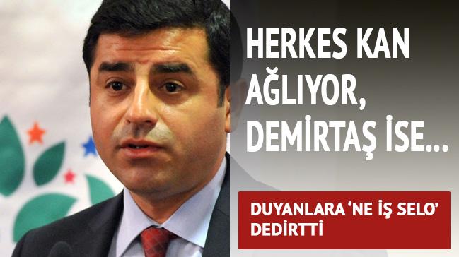 Terrn kayman Demirta yiyor