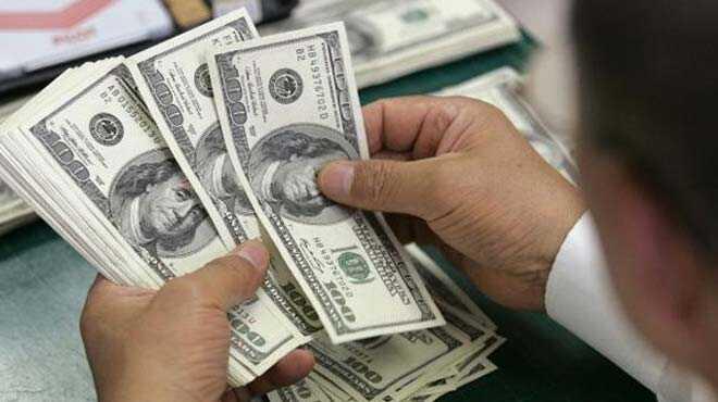 Dolar katan balad"