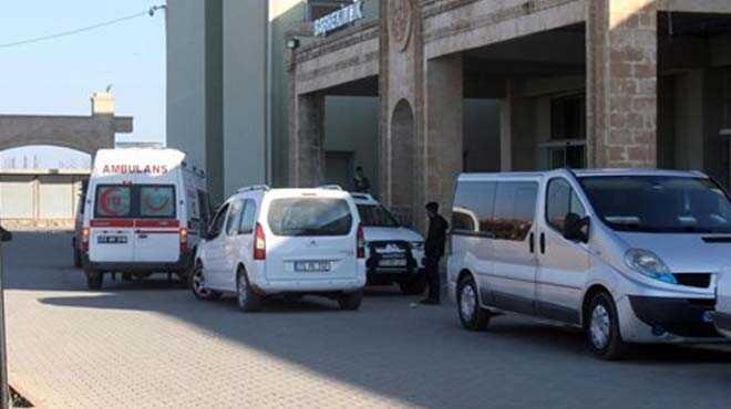 0 fotoraflar resimleri