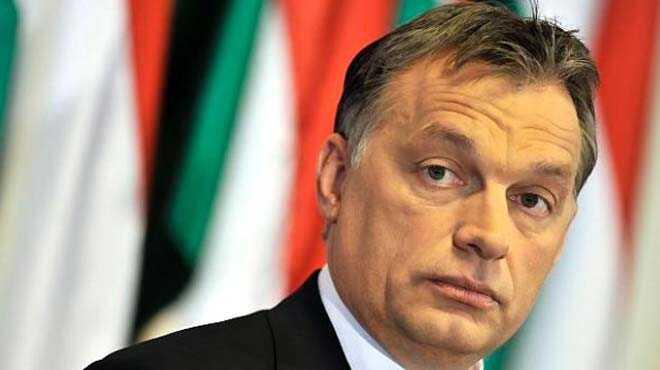 0 fotoraflar resimleri