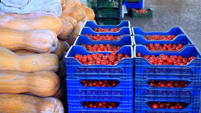 Antalya domatesine pazar aranyor