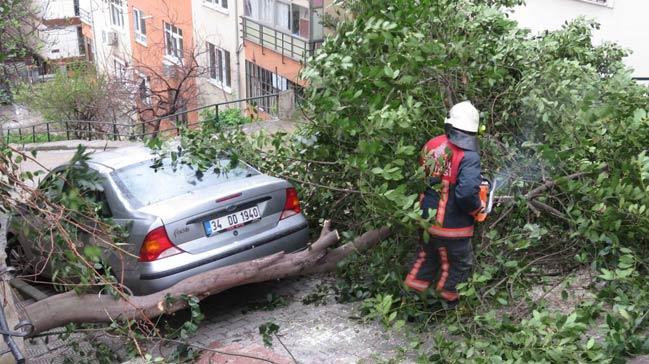 Maltepe'de aa devrildi, yol kapand